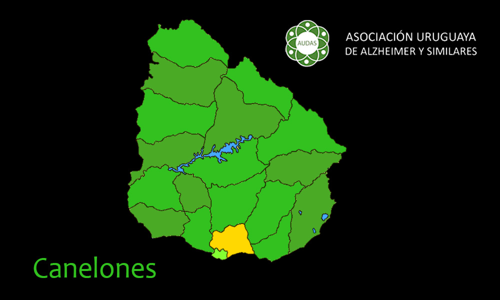 Imagen de la Actividad
