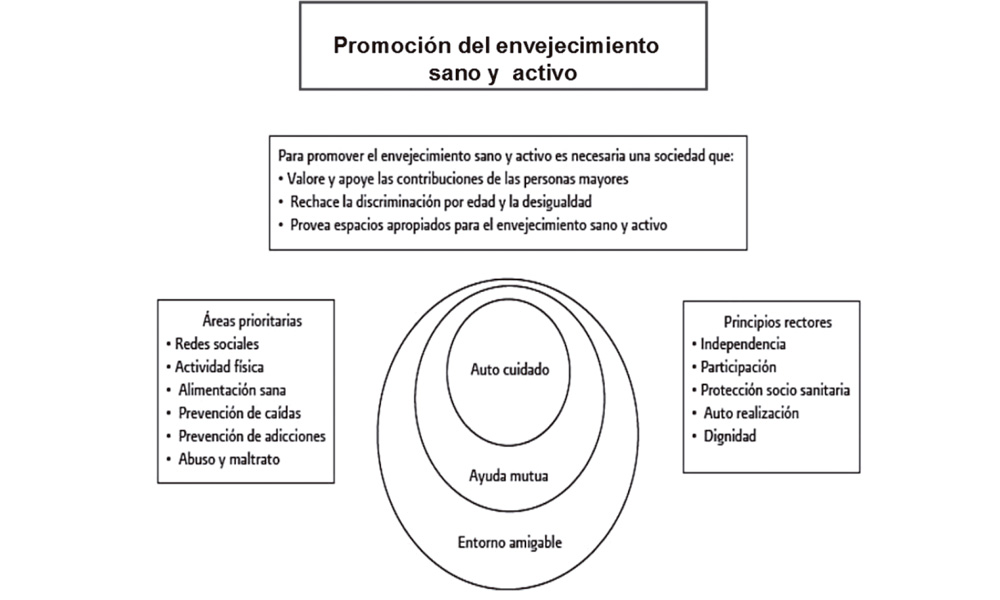 Imagen de la Actividad