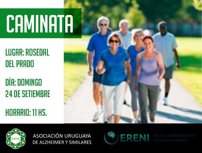 Imagen de la Actividad